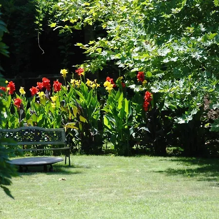 Venkovský dům Casa No Douro - Quinta De Pias *