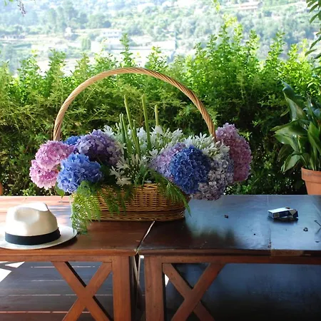 Casa di campagna Casa No Douro - Quinta De Pias Espadanedo (Macedo de Cavaleiros)