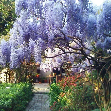 Casa di campagna Casa No Douro - Quinta De Pias